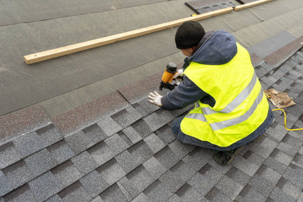 Best Roof Gutter Cleaning  in Aurora, IN